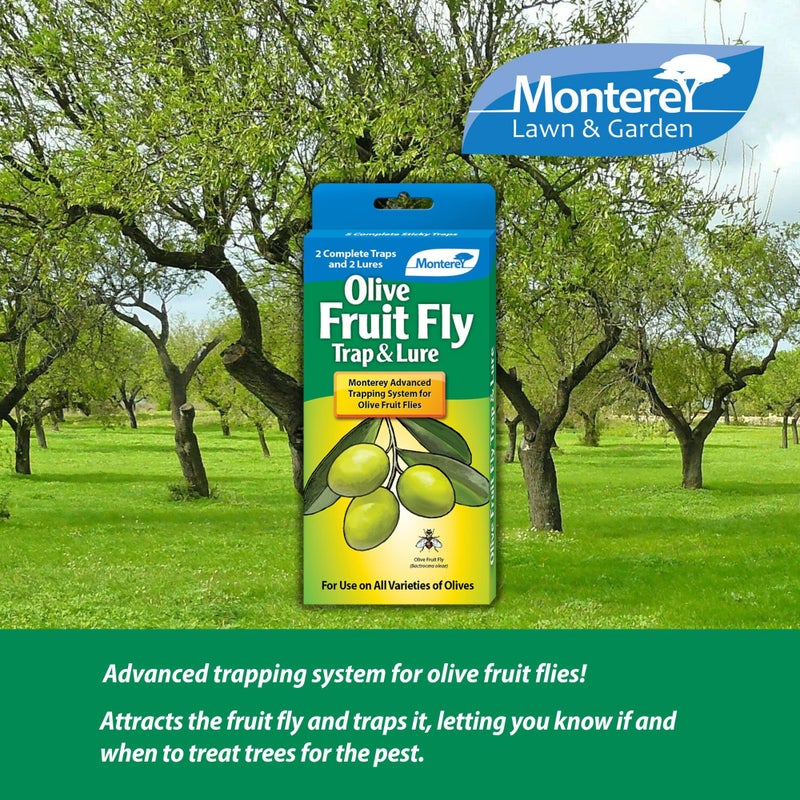 Monterey Olive Fruit Fly Trap and Lure - Image 2